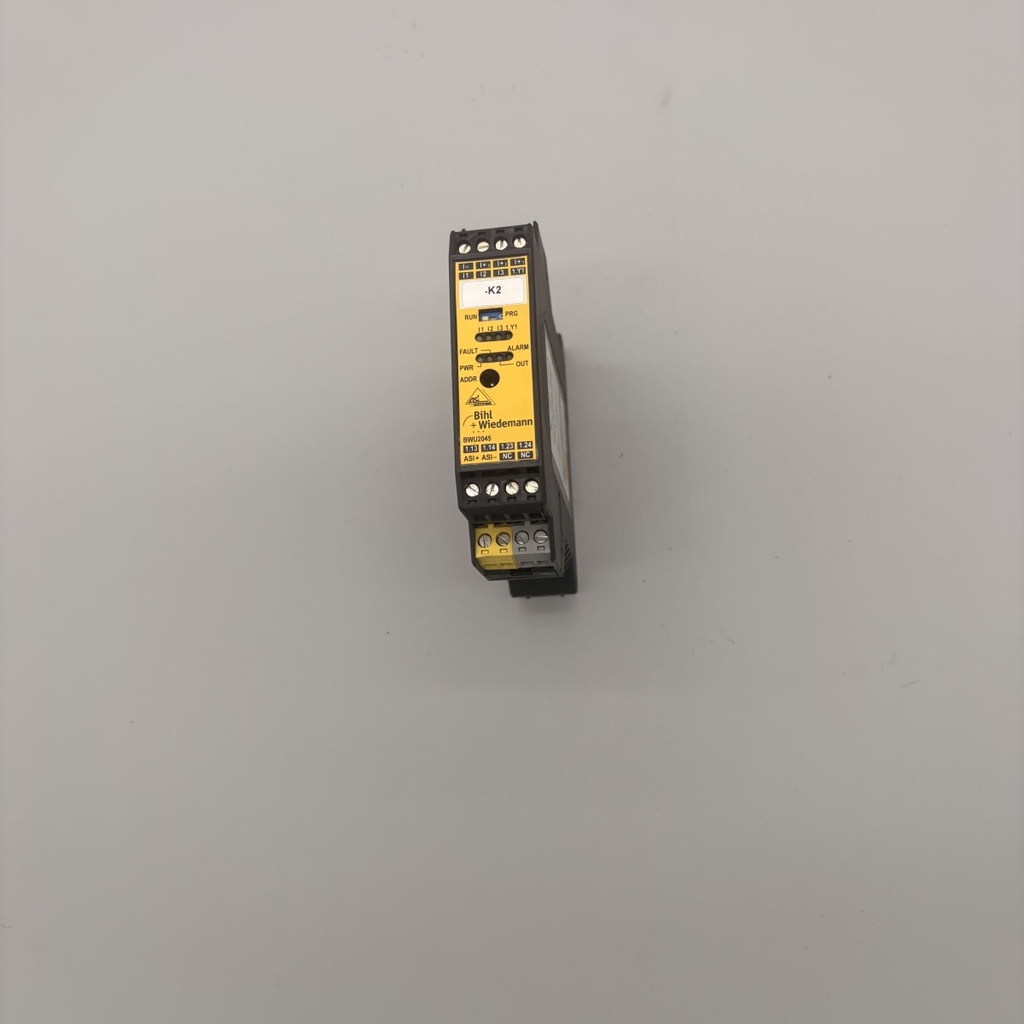 BWU2173 Foto 2