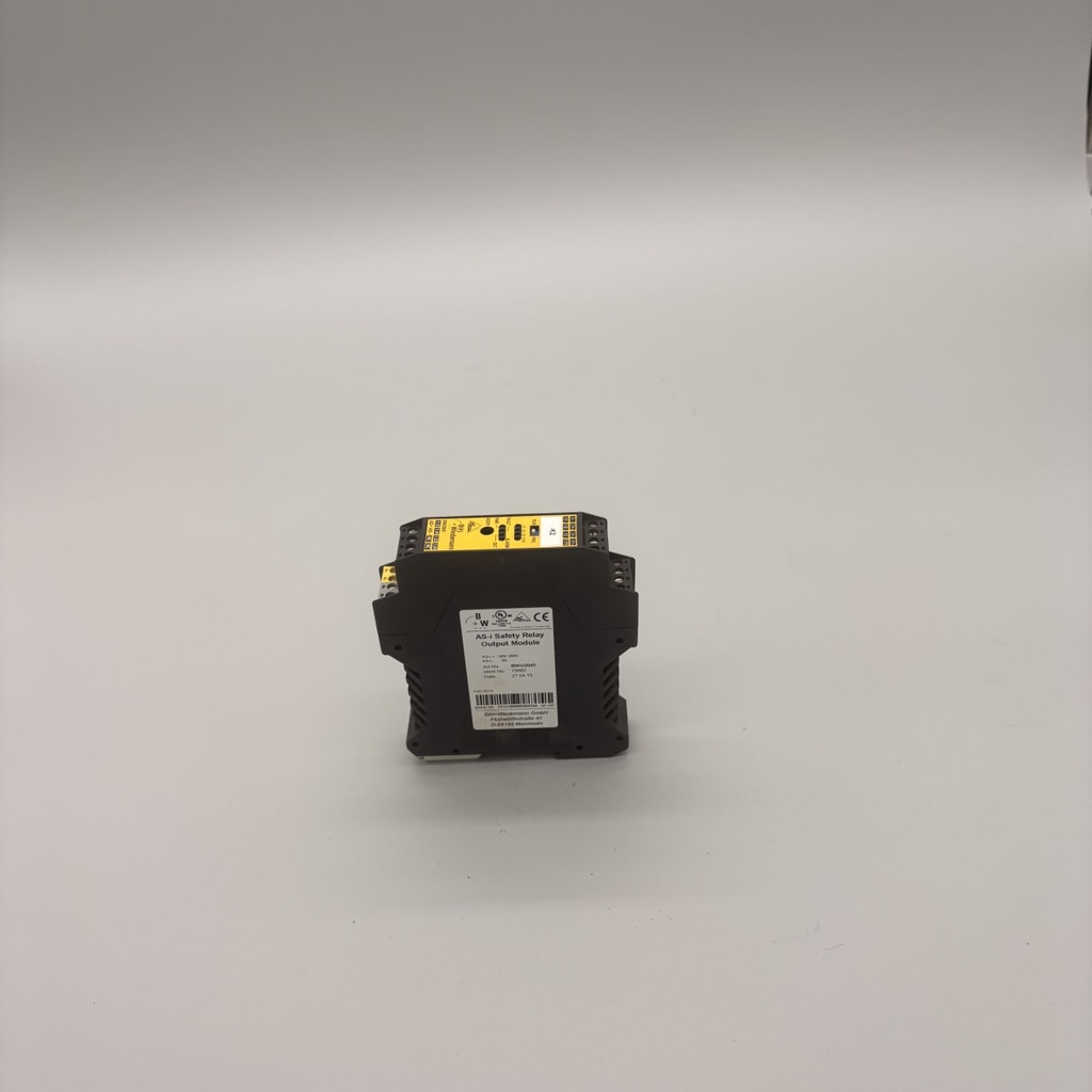 BWU2173 Foto 3